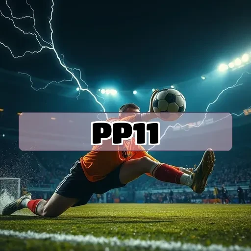 pp11.com Avaliações